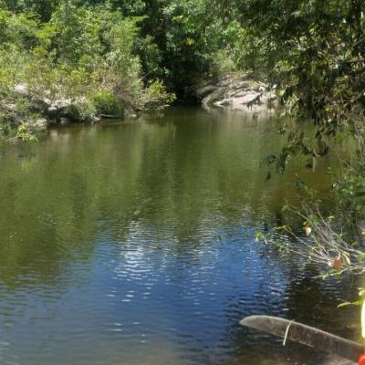 Fazenda Touro Bravo Cachoeiras Chapada Dos Veadeiros 10