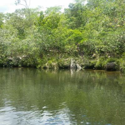 Fazenda Touro Bravo Cachoeiras Chapada Dos Veadeiros 11