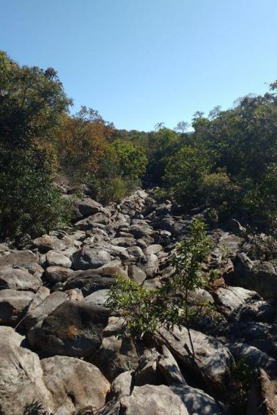 Fazenda Touro Bravo Cachoeiras Chapada Dos Veadeiros 15