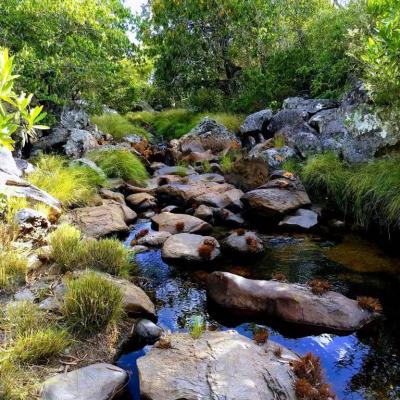 Fazenda Touro Bravo Cachoeiras Chapada Dos Veadeiros 16