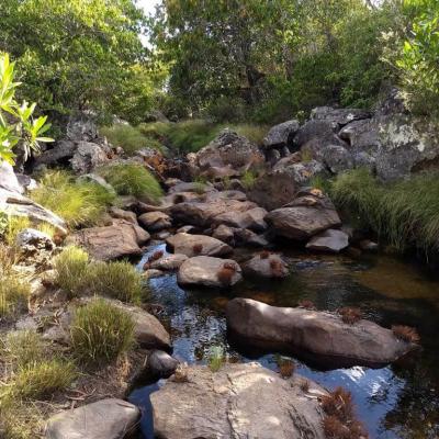Fazenda Touro Bravo Cachoeiras Chapada Dos Veadeiros 17