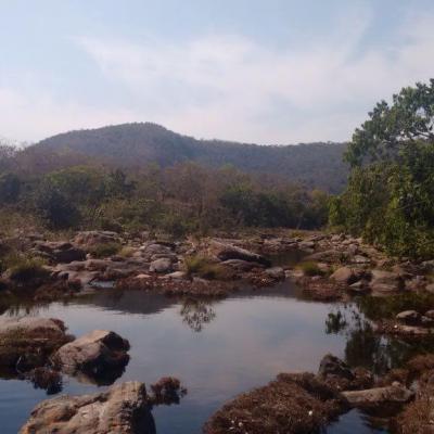 Fazenda Touro Bravo Chapada Dos Veadeiros Natureza 14