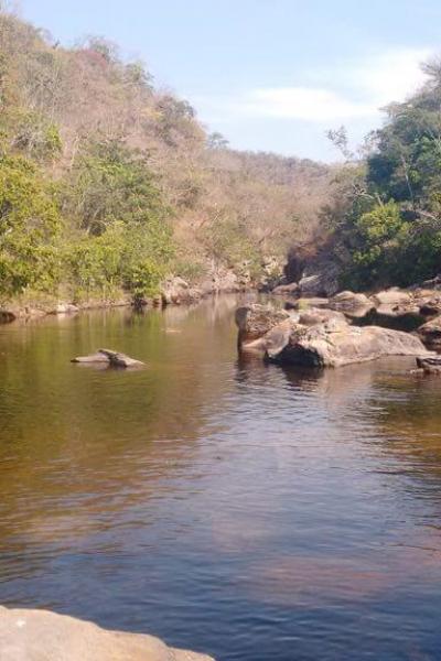 Fazenda Touro Bravo Chapada Dos Veadeiros Natureza 15