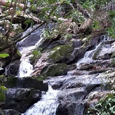 Fazenda Touro Bravo Chapada Dos Veadeiros Natureza 28