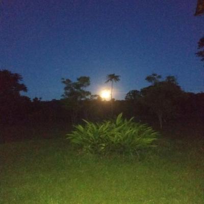 Fazenda Touro Bravo Chapada Dos Veadeiros Natureza 29