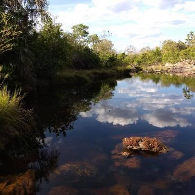 Fazenda Touro Bravo Chapada Dos Veadeiros Natureza 2