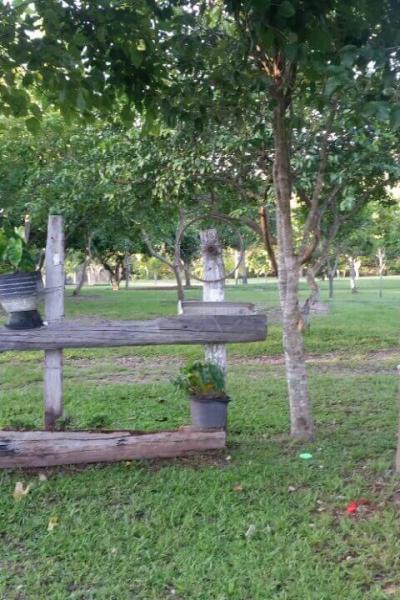 Fazenda Touro Bravo Chapada Dos Veadeiros Natureza 12
