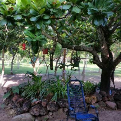 Fazenda Touro Bravo Chapada Dos Veadeiros Natureza 15