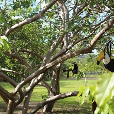 Fazenda Touro Bravo Chapada Dos Veadeiros Natureza 1