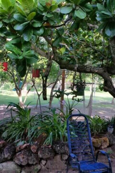 Fazenda Touro Bravo Chapada Dos Veadeiros Natureza 4
