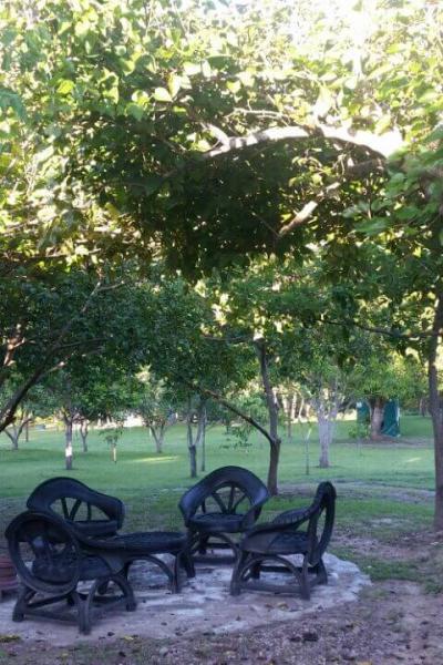 Fazenda Touro Bravo Chapada Dos Veadeiros Estrutura 12