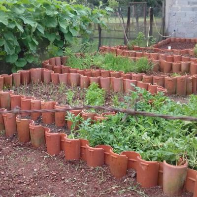 Fazenda Touro Bravo Chapada Dos Veadeiros Estrutura 16
