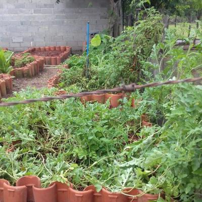 Fazenda Touro Bravo Chapada Dos Veadeiros Estrutura 18